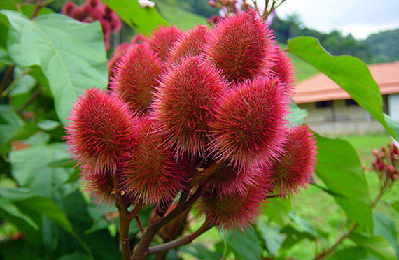 il_570xN.818583776_2yuc