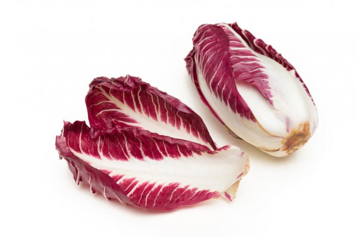 red-chicory