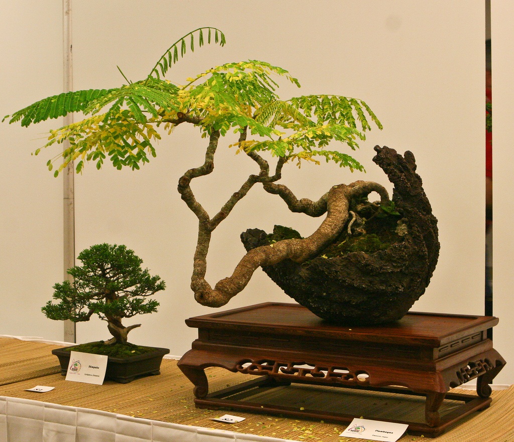 3746981385_8c809376ec_b