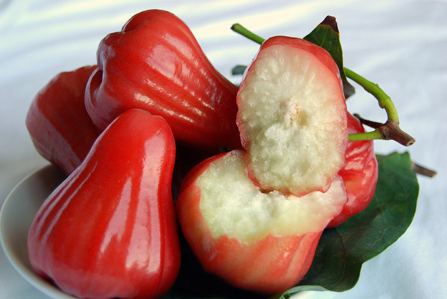 Rose Apple