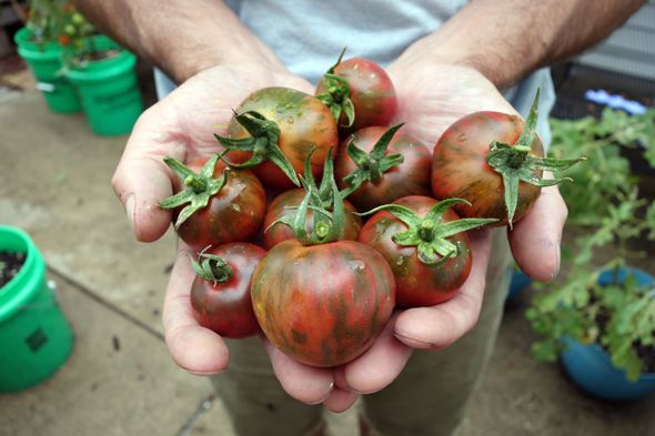 1524169ba6a163f757f5e9f45b3c6a67