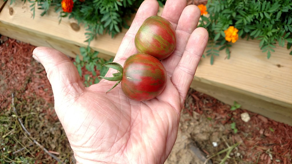 35108563423_85e41ea082_b