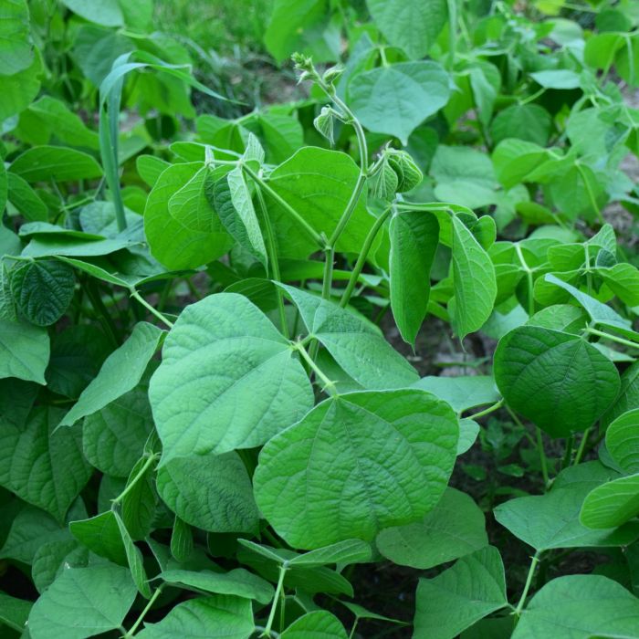 835865081464_3_lablab2