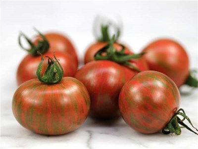 Tomato-Purple-Bumble-Bee-TS149-web-3