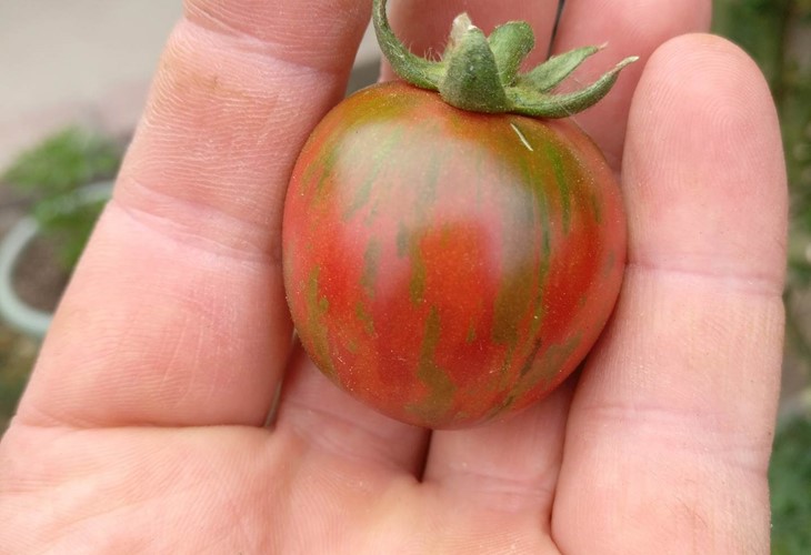 cc4ede948e145156a286b0bf171fdf55fbcf7f7a