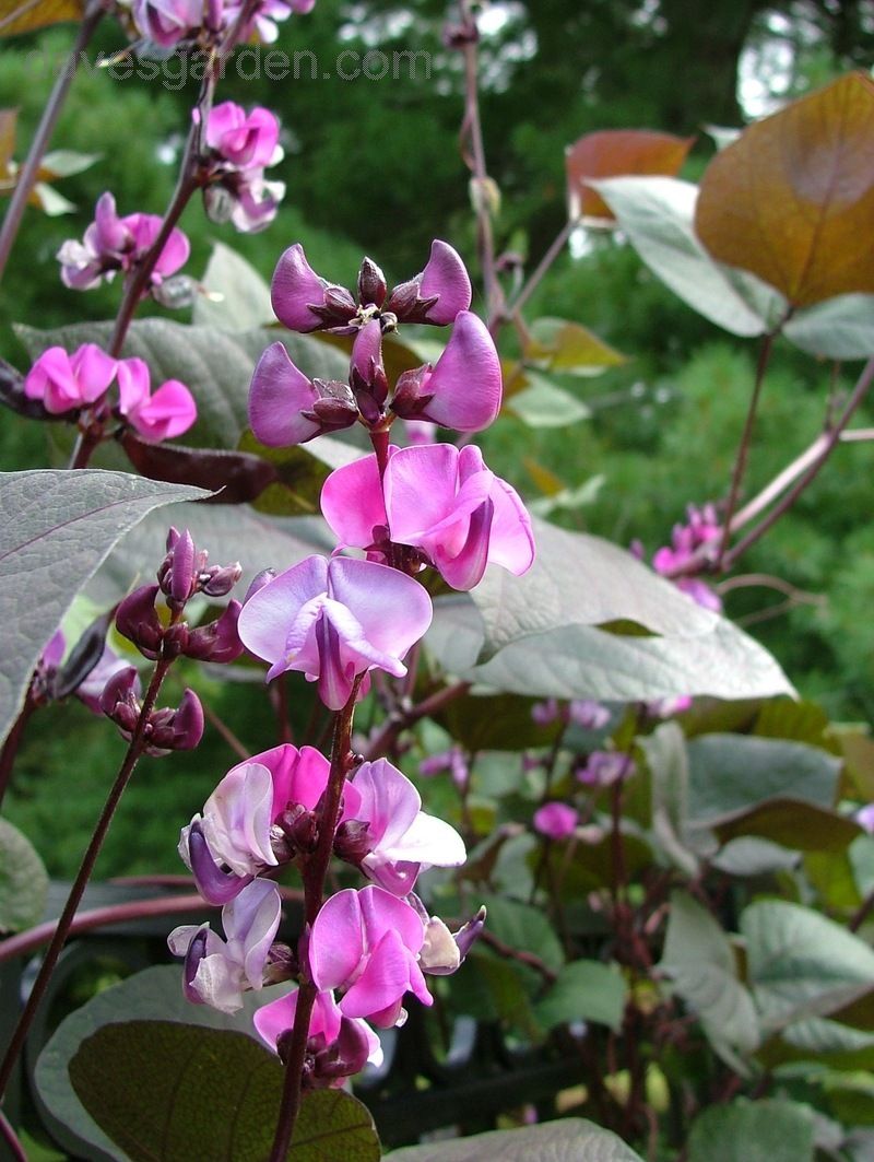 fd29366ec68216100bf733cfd5be84ca