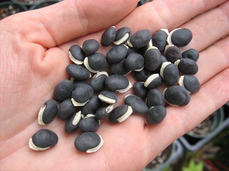 il_570xN.452168284_6gie