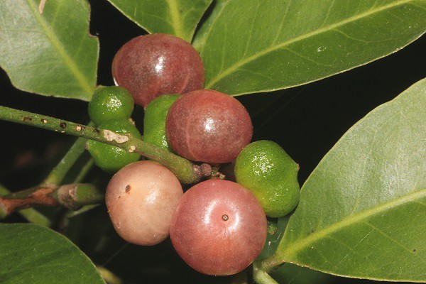 15624148621_b78555bc50_z