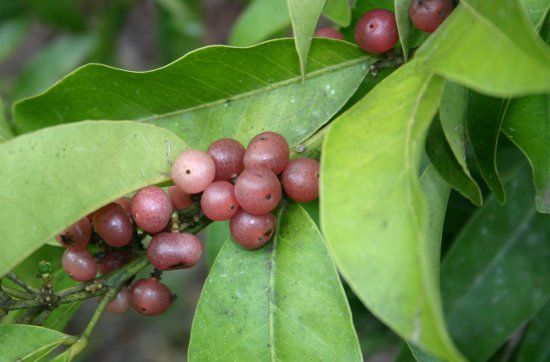 428b495bc5847f4a658b9e9c289fad1e