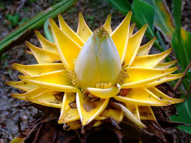 74b4980bc62d93b09ecd9ee8449de7a5