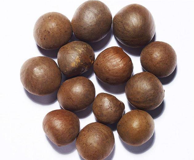 Camellia sinensis (9)