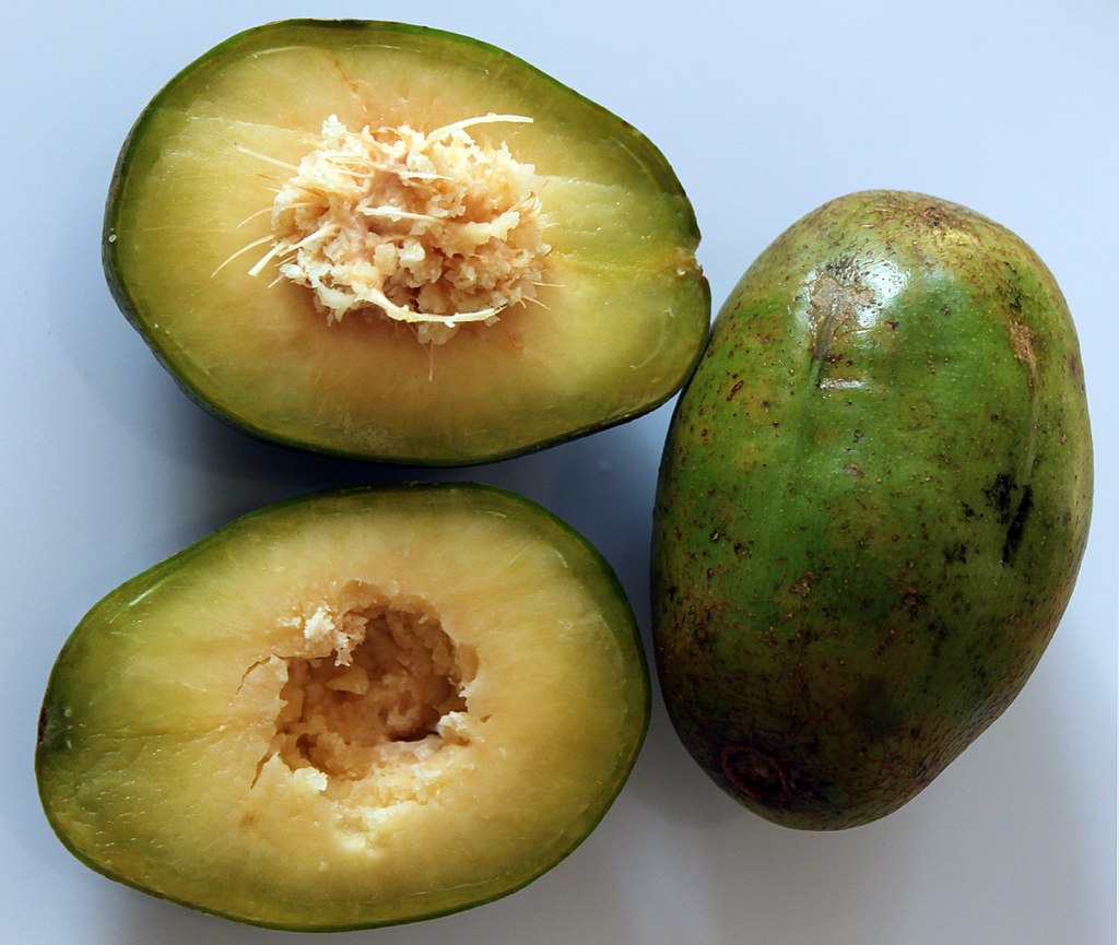 Spondias dulcis (ambarella) (5)