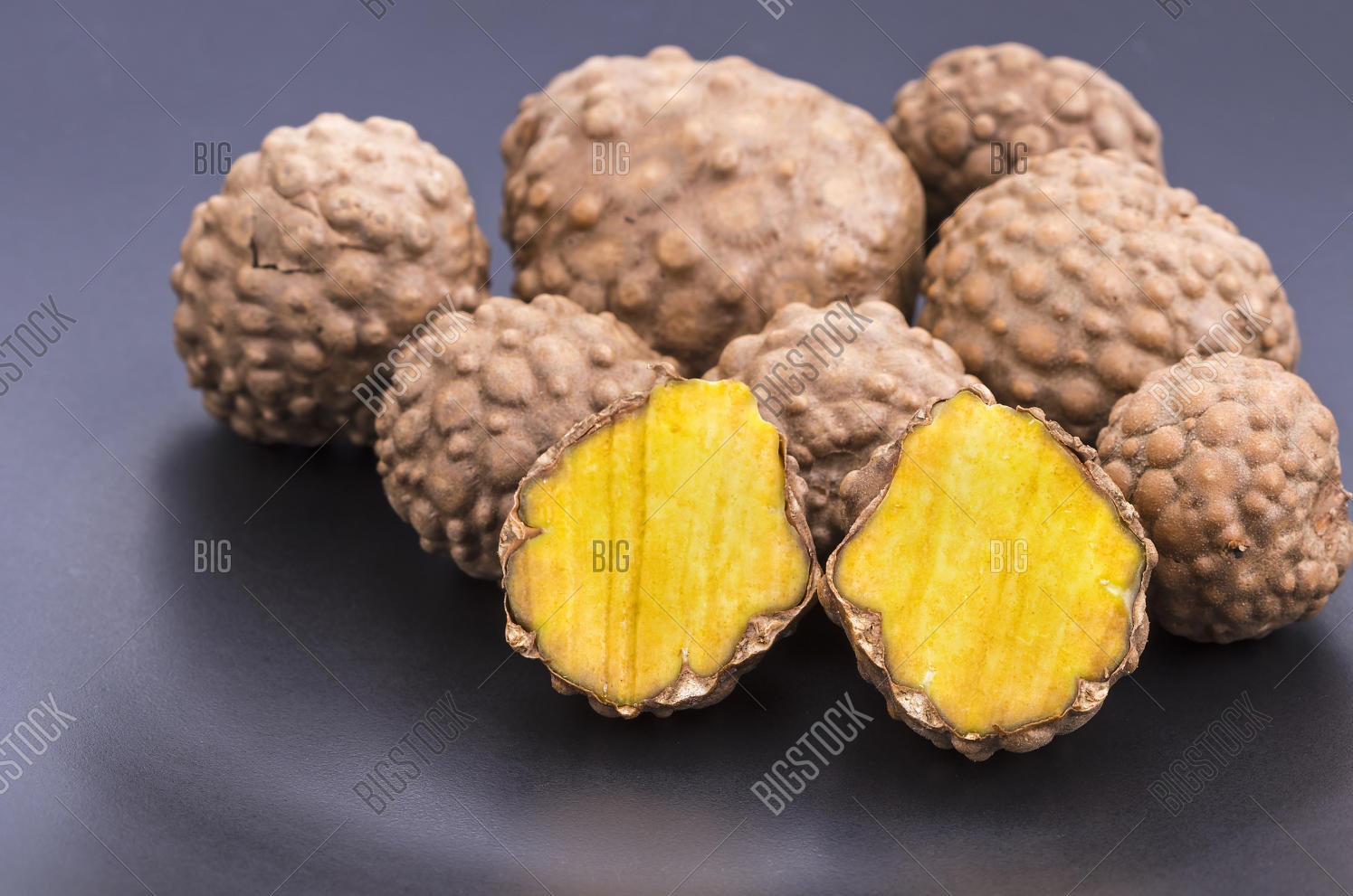 Dioscorea bulbifera - Air Potato (6)