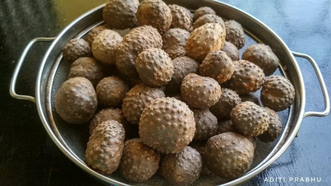 Dioscorea bulbifera - Air Potato (8)