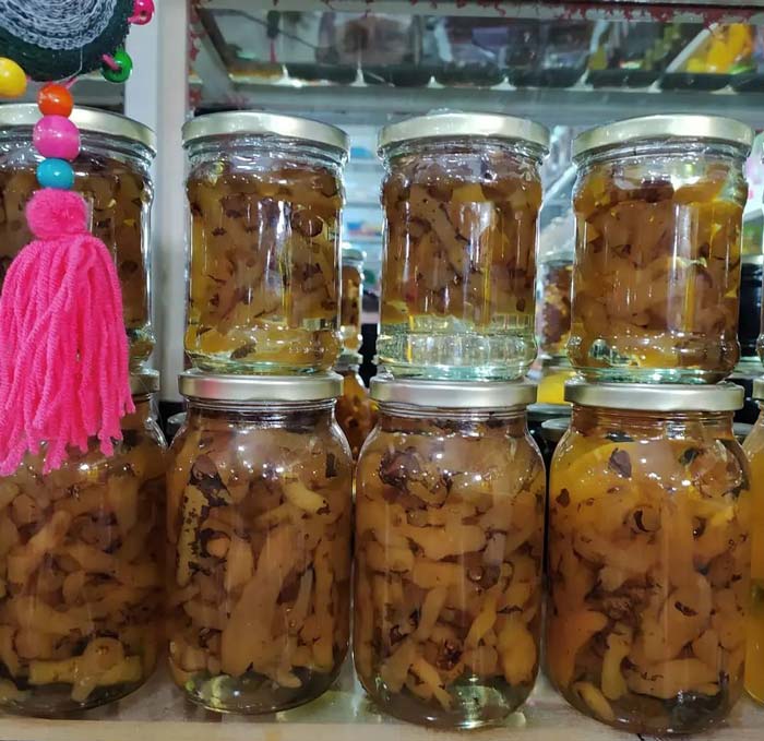 Pastinaca sativa (7)