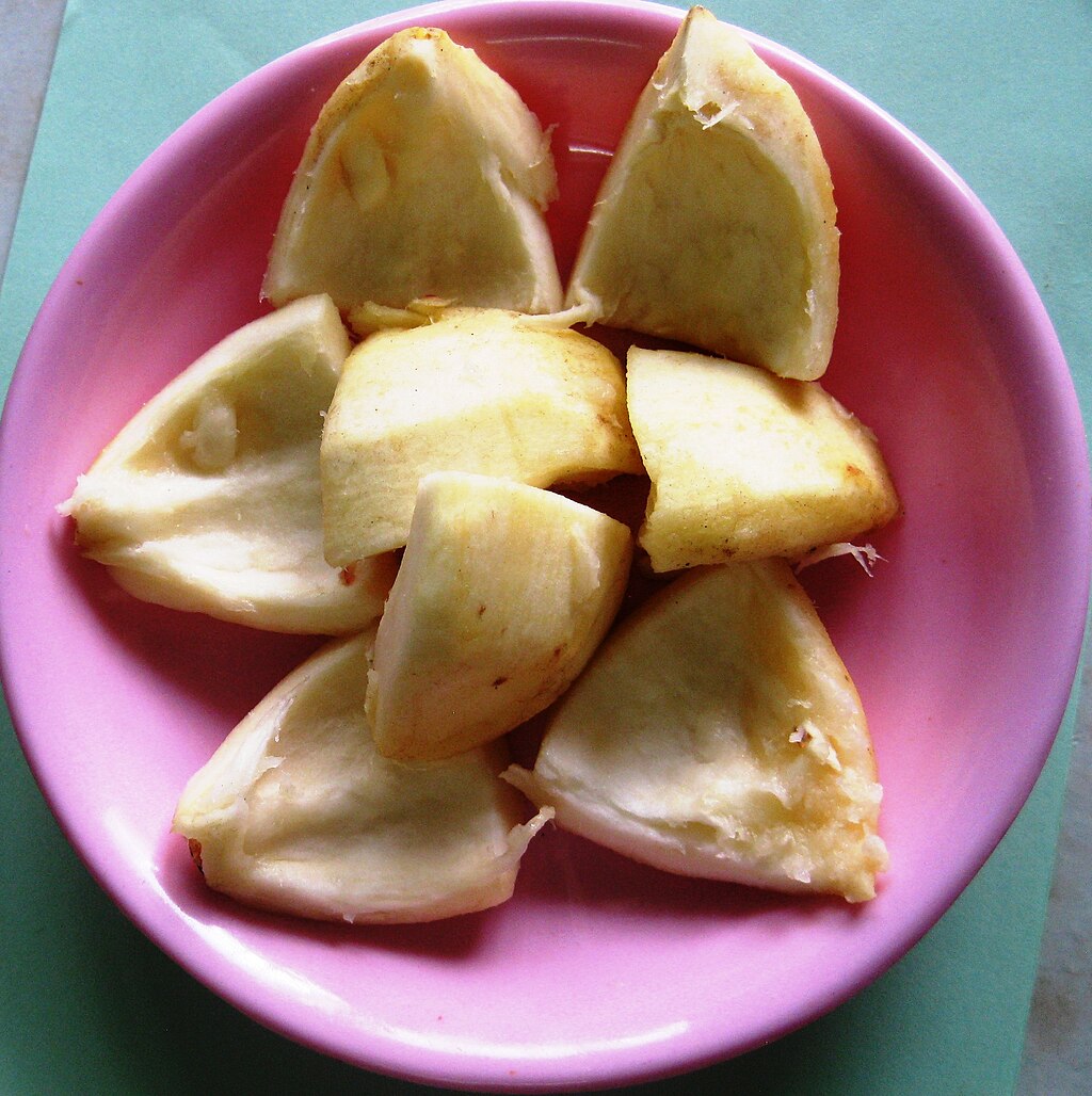 Diospyros blancoi (6)